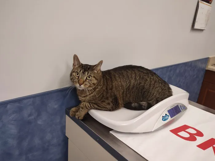 Indian Creek Veterinary Hospital 7