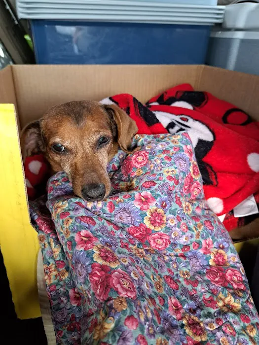 Buckeye Veterinary Hospital 1