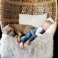 Countryside Animal Clinic ico