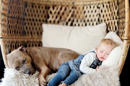 Countryside Animal Clinic