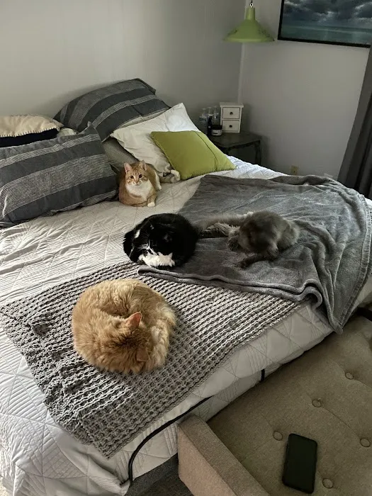 Countryside Animal Clinic 4