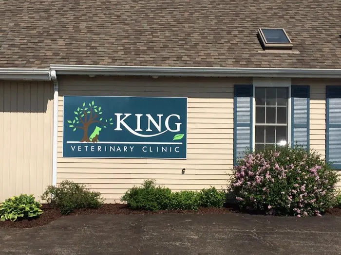 King Veterinary Clinic 8