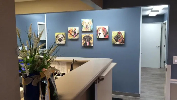 King Veterinary Clinic 5
