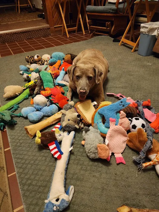 Pokagon Veterinary Hospital 12