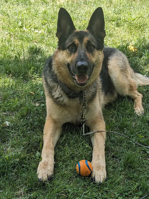 All Paws & Claws Veterinary Clinic 9