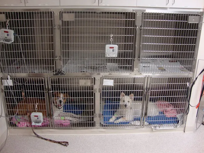 Line Street Veterinary Hospital 9
