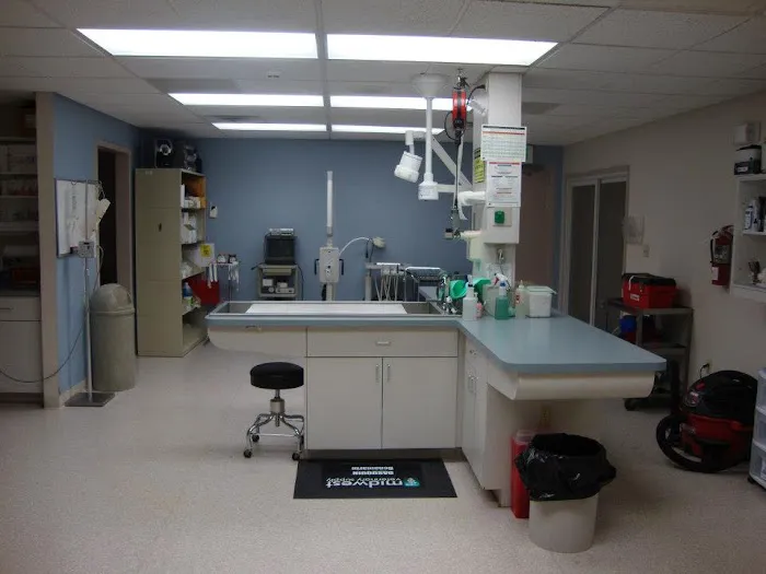 Line Street Veterinary Hospital 5
