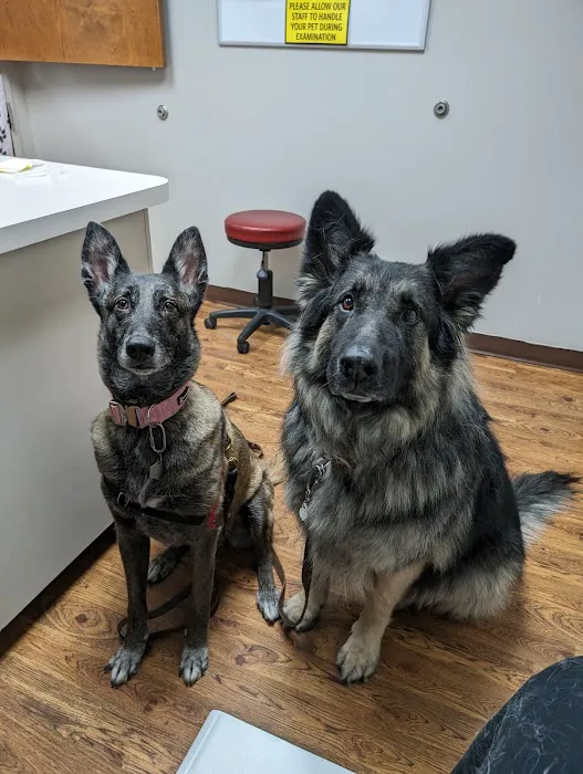 Line Street Veterinary Hospital 7