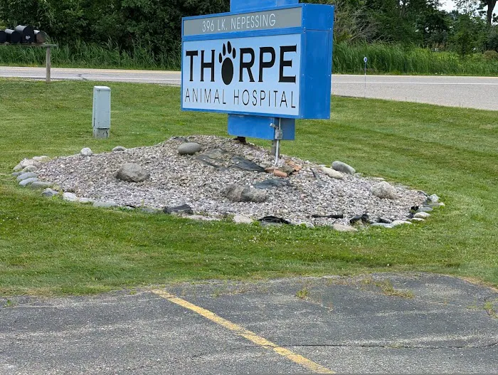 Thorpe Animal Hospital 8