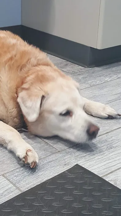 Thorpe Animal Hospital 5