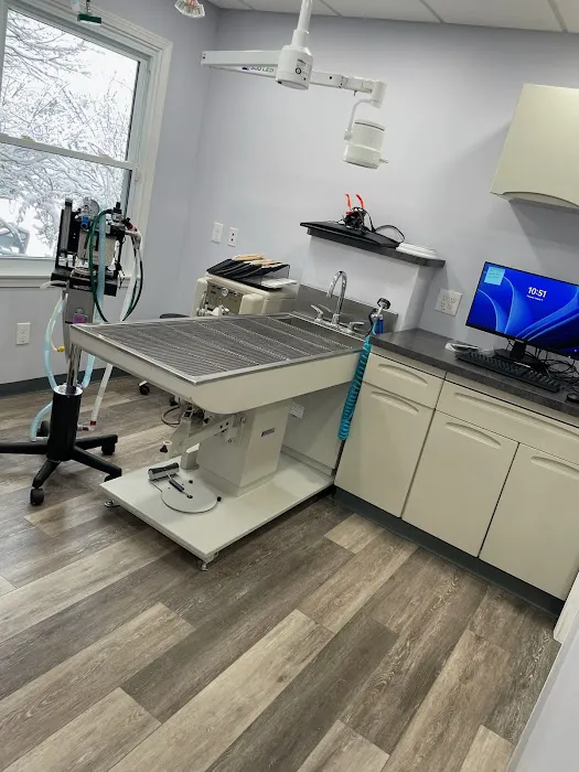 Thorpe Animal Hospital 9