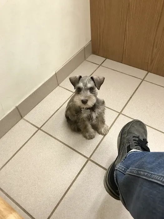 Pytel Veterinary Clinic 7