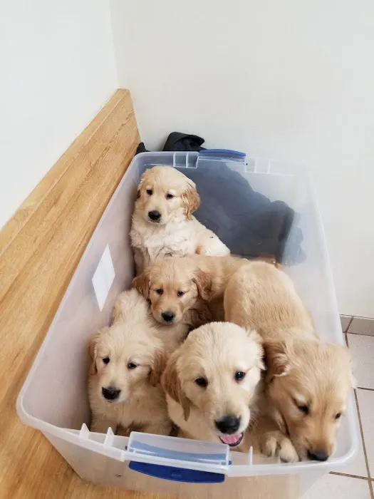 Pytel Veterinary Clinic 1