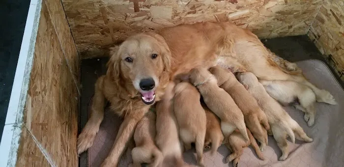 Pytel Veterinary Clinic 2