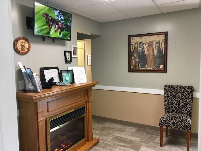 Veterinary Health Center 4
