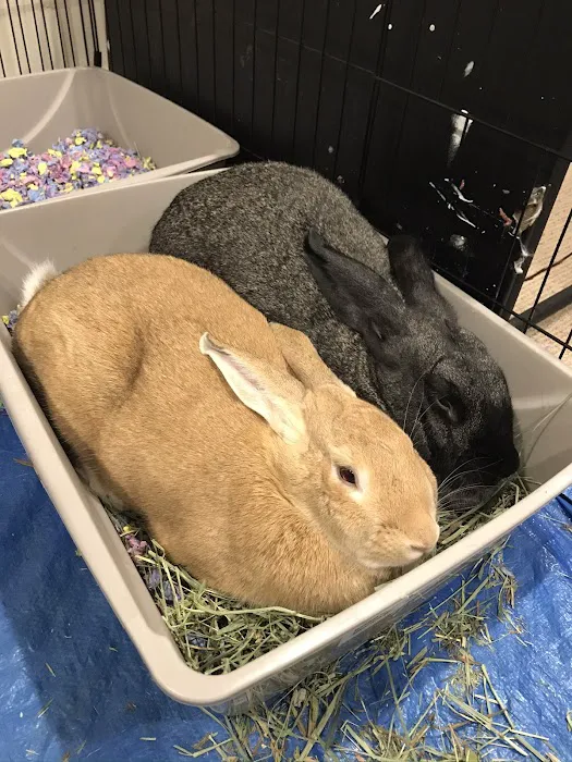 Cole Veterinary Hospital 2