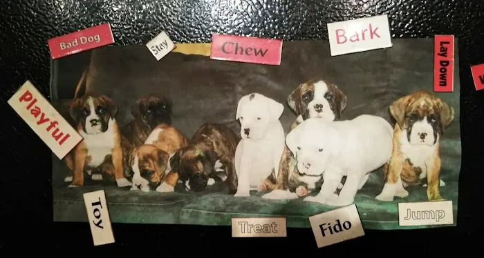 Cole Veterinary Hospital 7