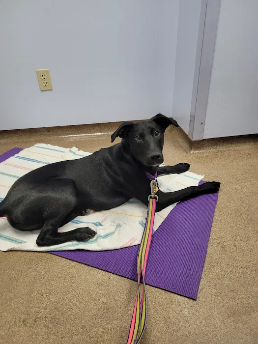 Mackinaw Veterinary Associates 9