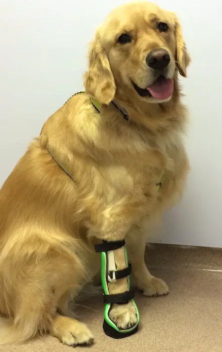 Mackinaw Veterinary Associates 4