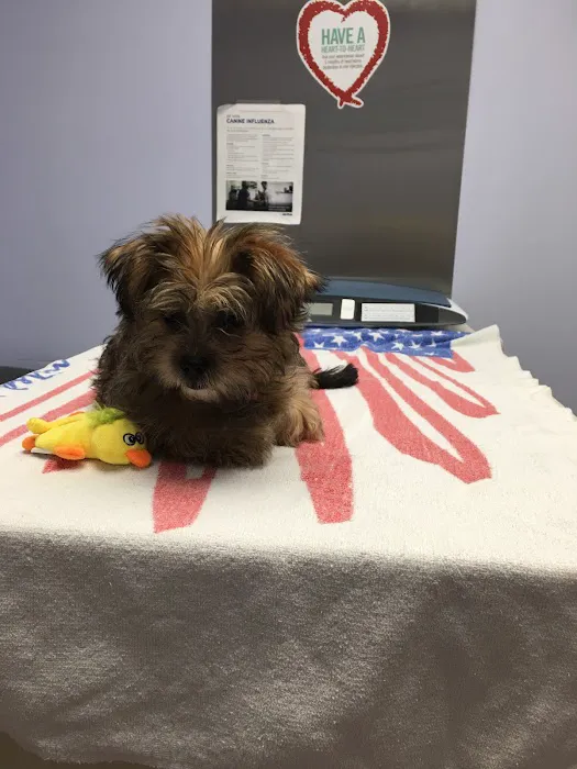 Mackinaw Veterinary Associates 10