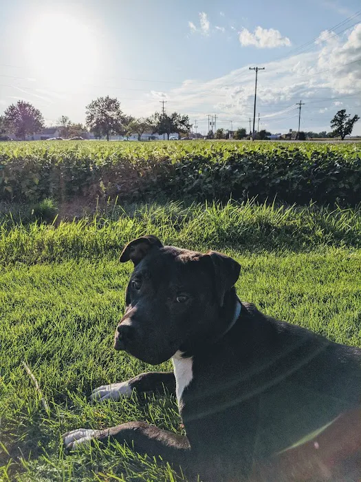 Bay Valley Animal Hospital 5