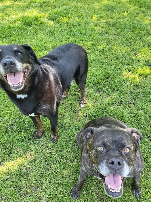 Bay Valley Animal Hospital 9