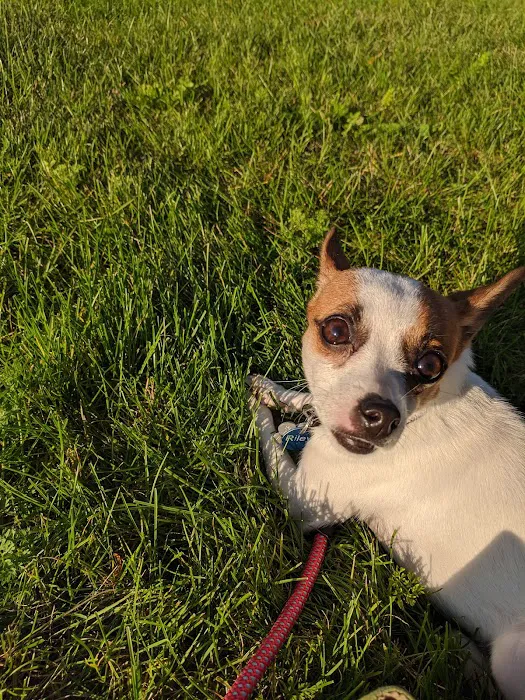 Bay Valley Animal Hospital 7