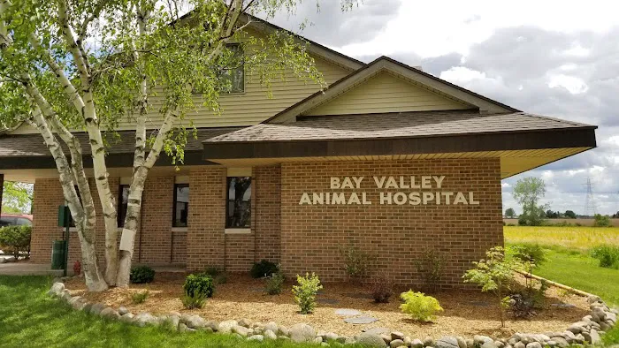 Bay Valley Animal Hospital 3