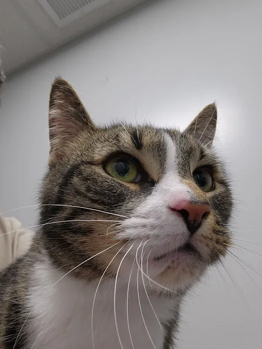 Bay Valley Animal Hospital 1