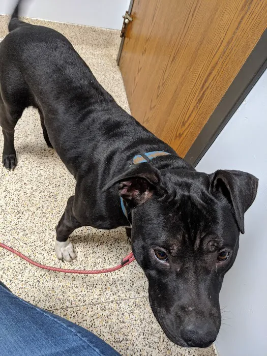 Bay Valley Animal Hospital 2