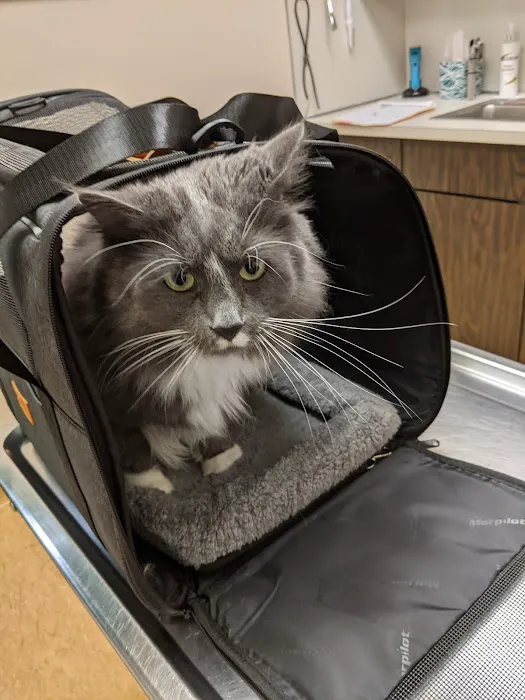 Riverside Animal Clinic 1