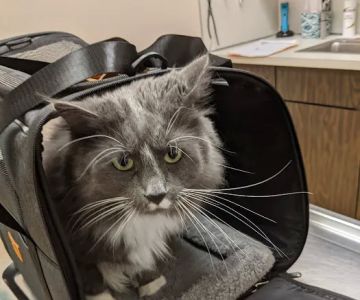 Riverside Animal Clinic