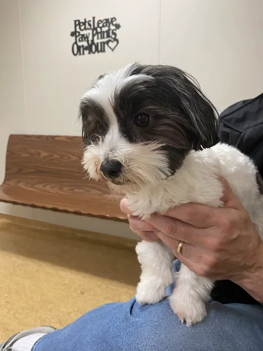 Riverside Animal Clinic 2
