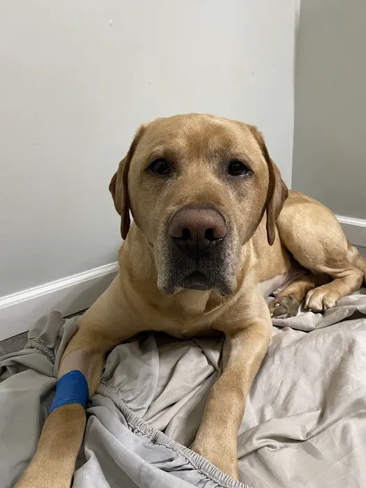 Riverside Animal Clinic 4