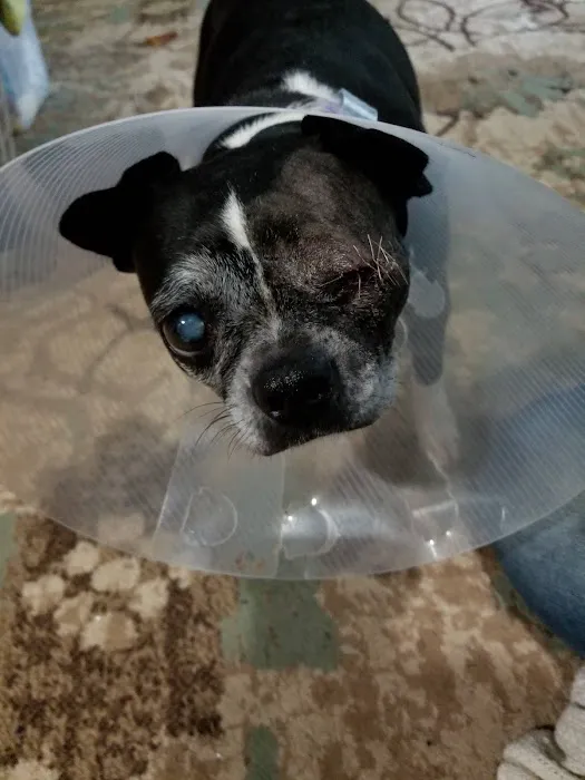 Animal Medical Center of Lapeer 1
