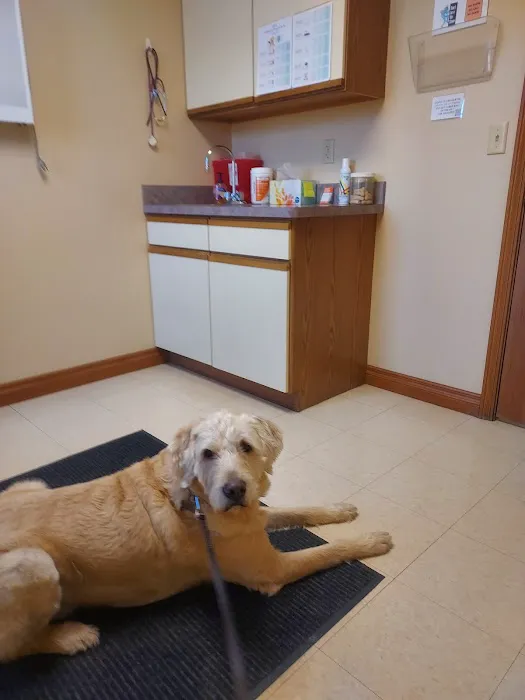 Animal Medical Center of Lapeer 9
