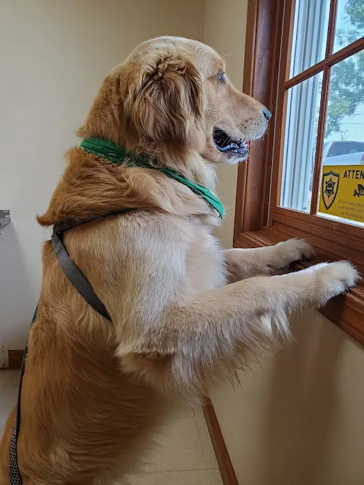 Animal Medical Center of Lapeer 4