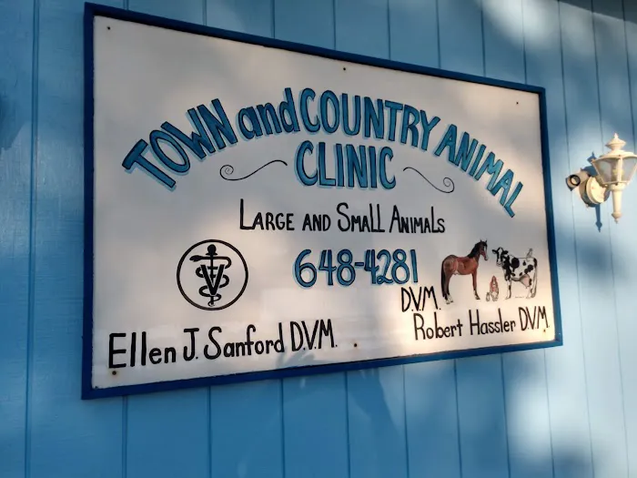 A Town & Country Animal Clinic 1