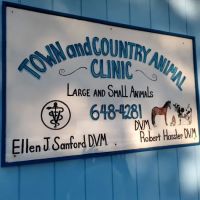 A Town & Country Animal Clinic ico