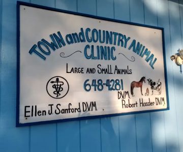 A Town & Country Animal Clinic