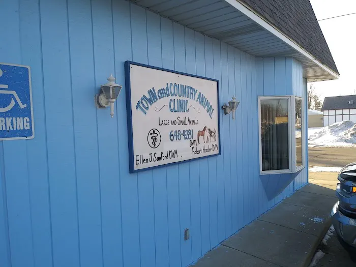A Town & Country Animal Clinic 3