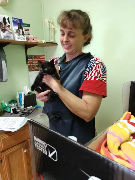 A Town & Country Animal Clinic 2