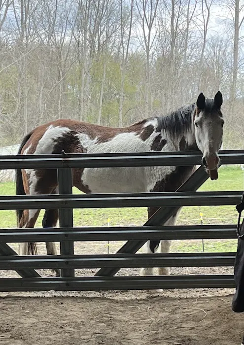Metamora Complete Equine Vet 1
