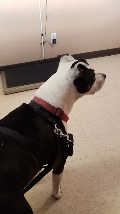 Animal Hospital of Flint 4