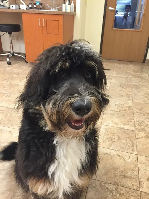VCA Swartz Creek Animal Hospital 7