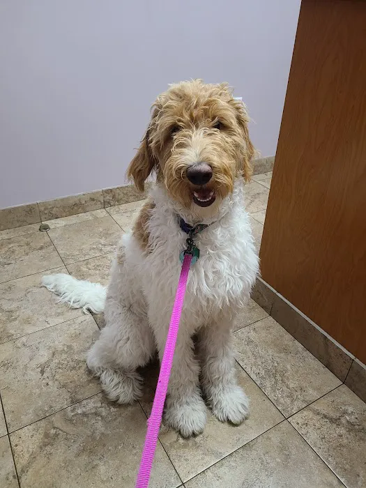 VCA Swartz Creek Animal Hospital 4