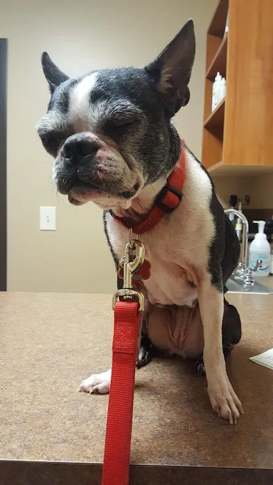 VCA Swartz Creek Animal Hospital 5