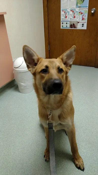 Valley Animal Clinic 5