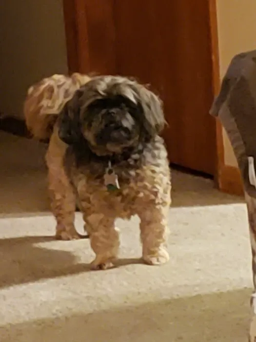 Valley Animal Clinic 3