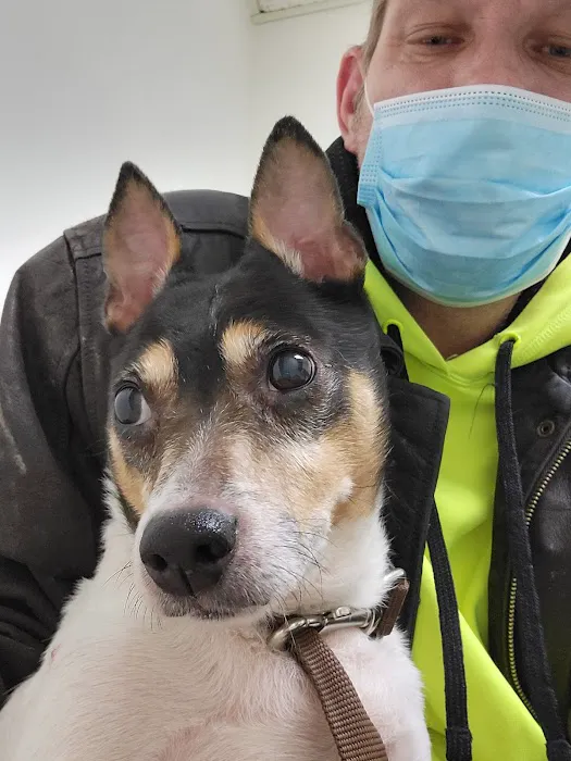 Valley Animal Clinic 7